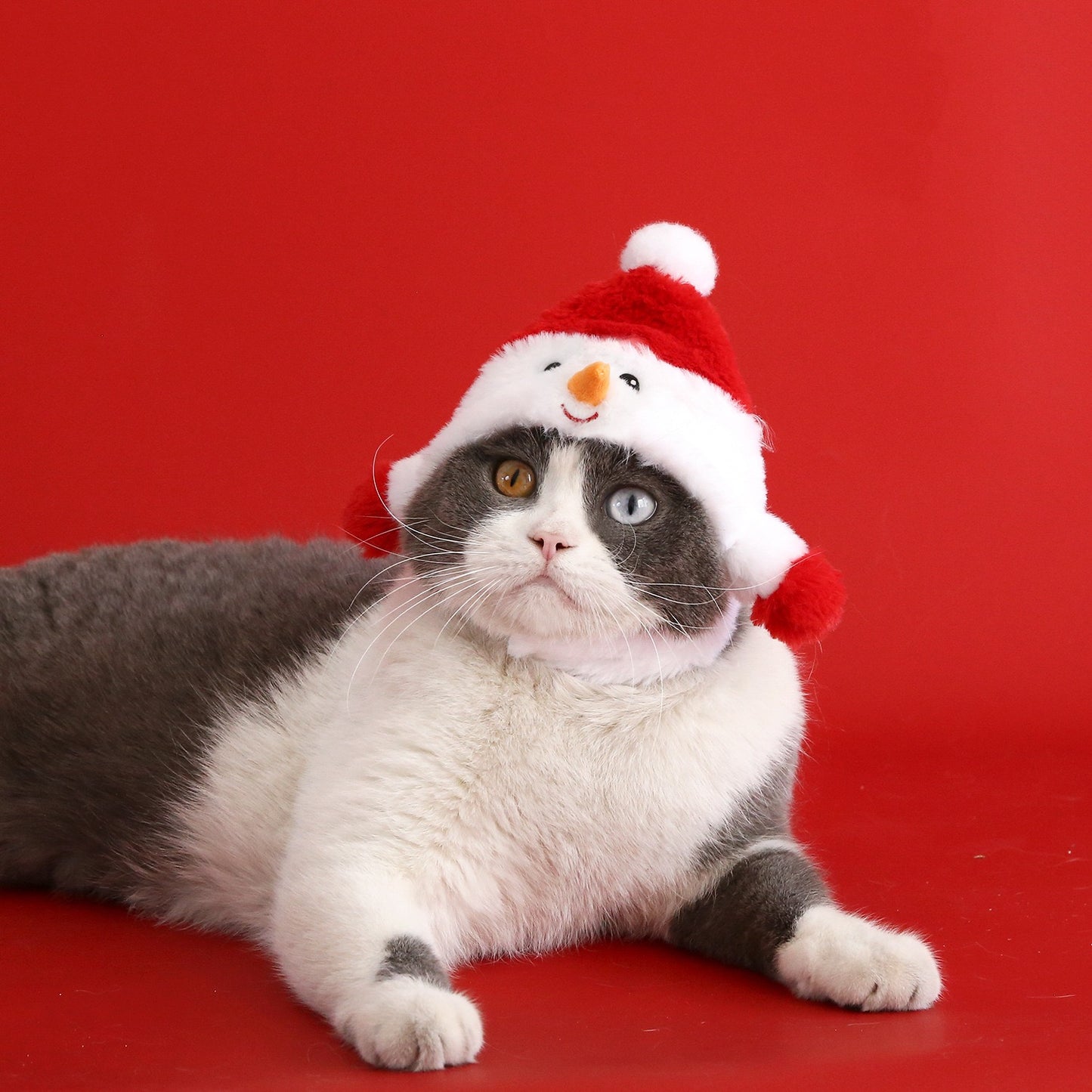 Holiday Must-Have! Adorable Christmas Pet Hat