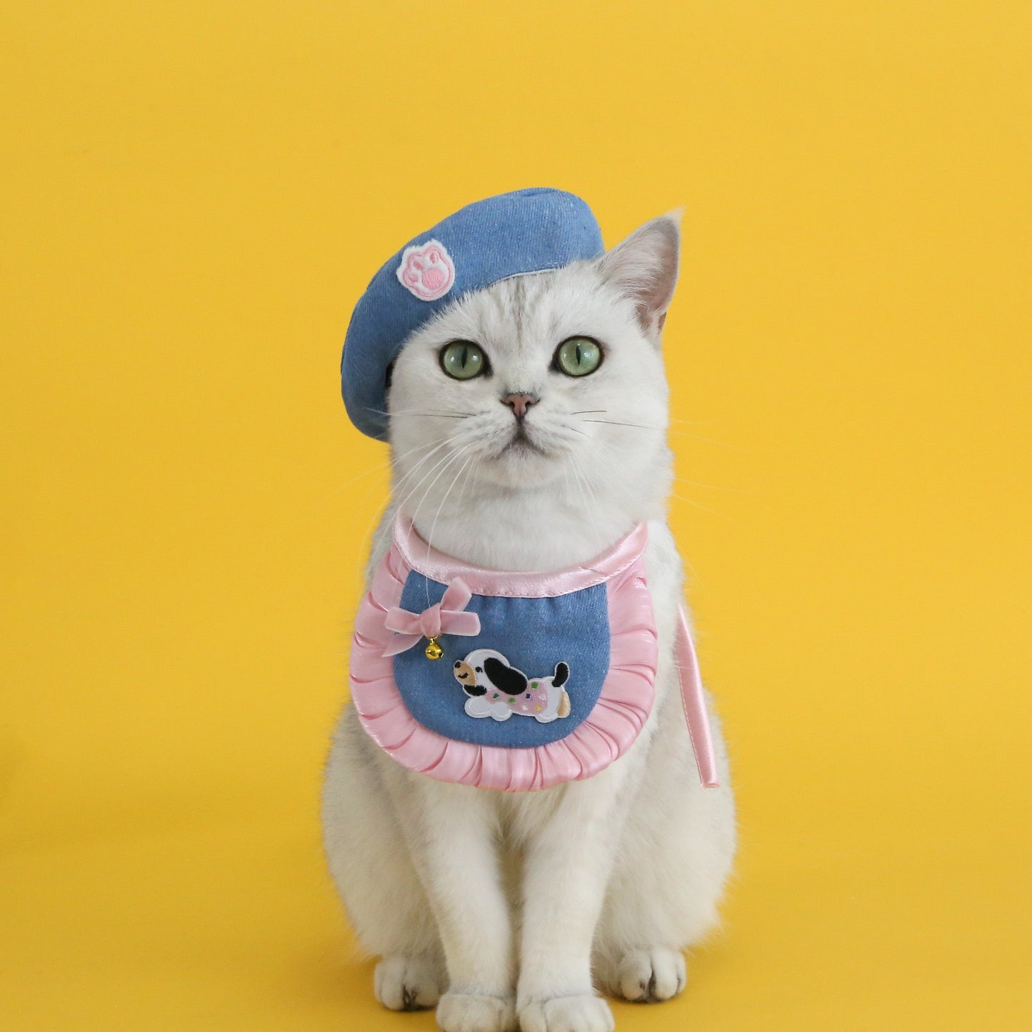 “Classy French Hat + Apron Set for Cats & Dogs!”